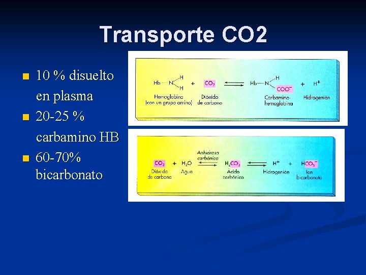 Transporte CO 2 n n n 10 % disuelto en plasma 20 -25 %