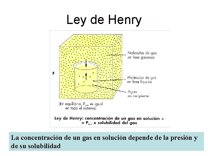 Ley de Henry La concentración de un gas en solución depende de la presión