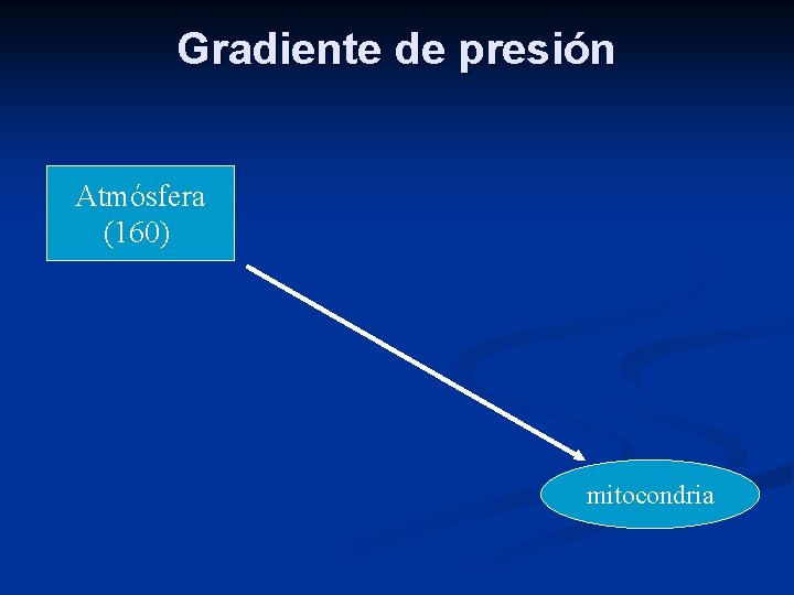 Gradiente de presión Atmósfera (160) mitocondria 