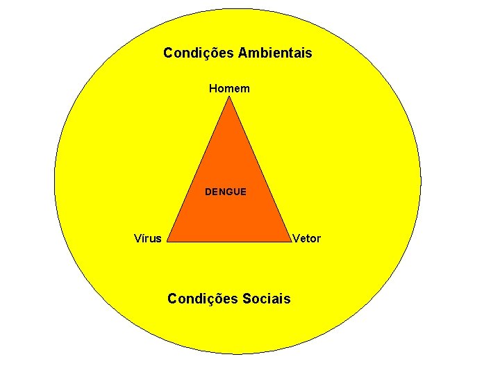 Condições Ambientais Homem DENGUE Vírus Vetor Condições Sociais Condições Ambientais Homem DENGUE Vírus Vetor Condições Sociais