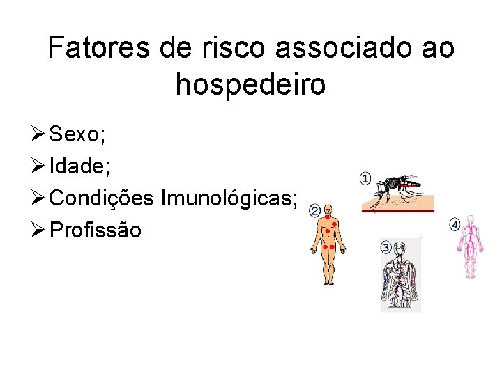 Fatores de risco associado ao hospedeiro Ø Sexo; Ø Idade; Ø Condições Imunológicas; Ø Fatores de risco associado ao hospedeiro Ø Sexo; Ø Idade; Ø Condições Imunológicas; Ø