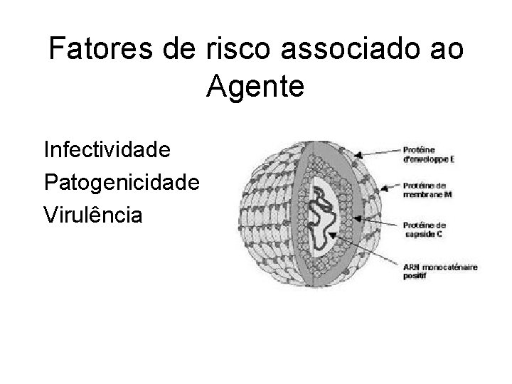 Fatores de risco associado ao Agente Infectividade Patogenicidade Virulência Fatores de risco associado ao Agente Infectividade Patogenicidade Virulência