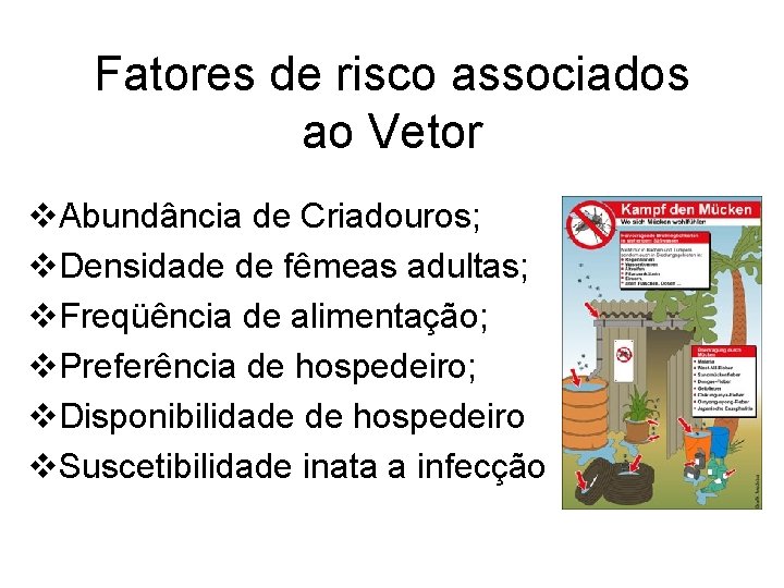 Fatores de risco associados ao Vetor v. Abundância de Criadouros; v. Densidade de fêmeas Fatores de risco associados ao Vetor v. Abundância de Criadouros; v. Densidade de fêmeas