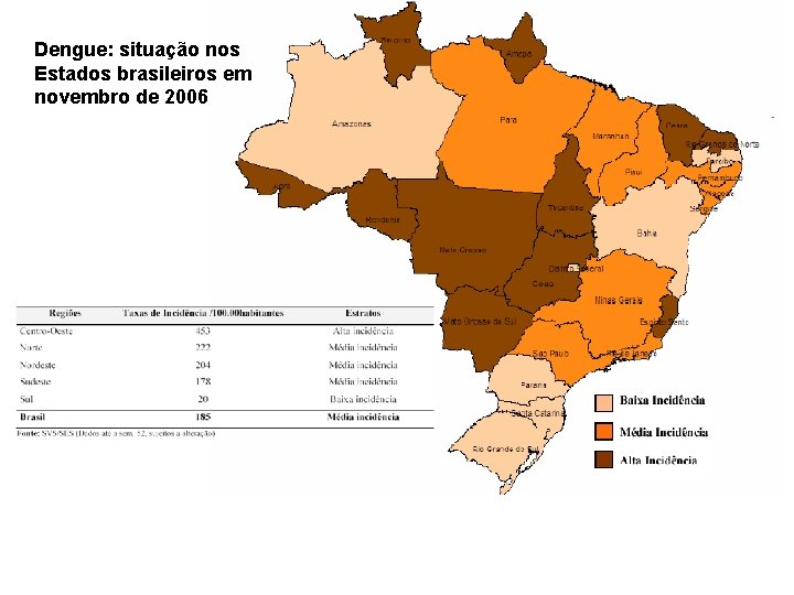 Dengue: situação nos Estados brasileiros em novembro de 2006 Dengue: situação nos Estados brasileiros em novembro de 2006