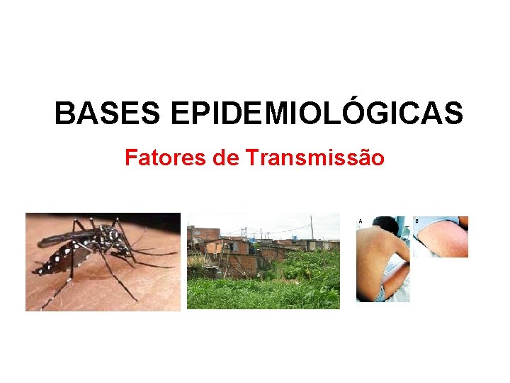 BASES EPIDEMIOLÓGICAS Fatores de Transmissão BASES EPIDEMIOLÓGICAS Fatores de Transmissão