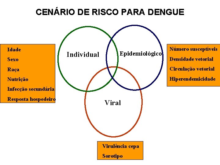 CENÁRIO DE RISCO PARA DENGUE Idade Sexo Individual Epidemiológico Número susceptíveis Densidade vetorial Raça CENÁRIO DE RISCO PARA DENGUE Idade Sexo Individual Epidemiológico Número susceptíveis Densidade vetorial Raça