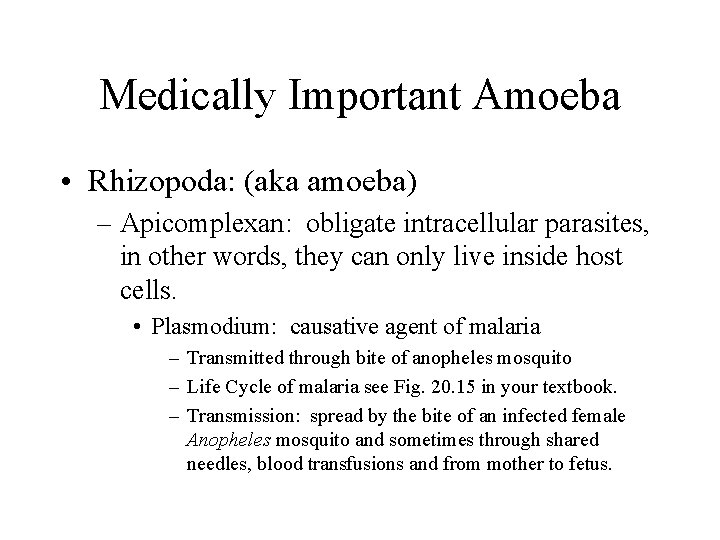Medically Important Amoeba • Rhizopoda: (aka amoeba) – Apicomplexan: obligate intracellular parasites, in other Medically Important Amoeba • Rhizopoda: (aka amoeba) – Apicomplexan: obligate intracellular parasites, in other