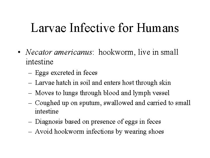 Larvae Infective for Humans • Necator americanus: hookworm, live in small intestine – – Larvae Infective for Humans • Necator americanus: hookworm, live in small intestine – –