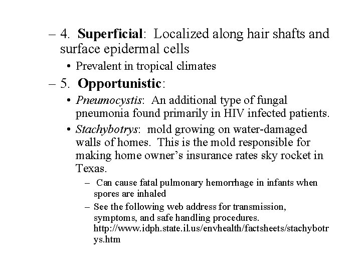 – 4. Superficial: Localized along hair shafts and surface epidermal cells • Prevalent in – 4. Superficial: Localized along hair shafts and surface epidermal cells • Prevalent in