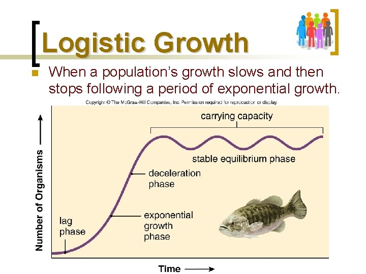 Logistic Growth n When a population’s growth slows and then stops following a period