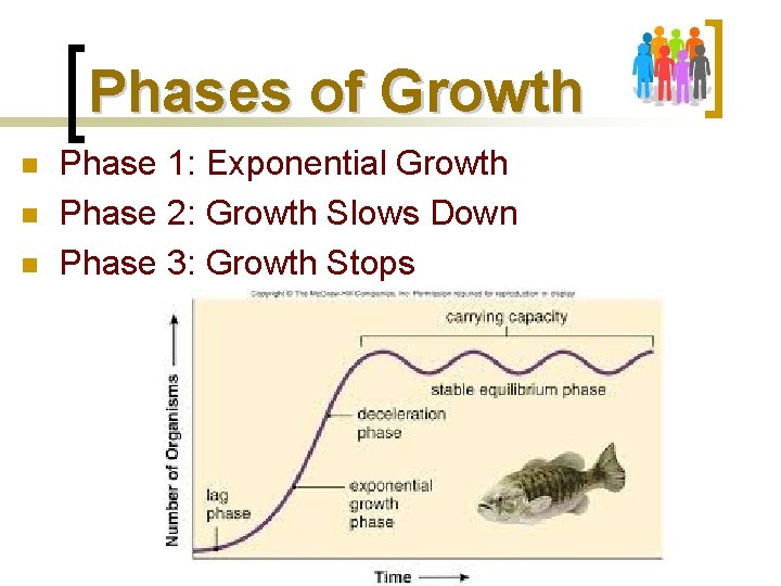Phases of Growth n n n Phase 1: Exponential Growth Phase 2: Growth Slows