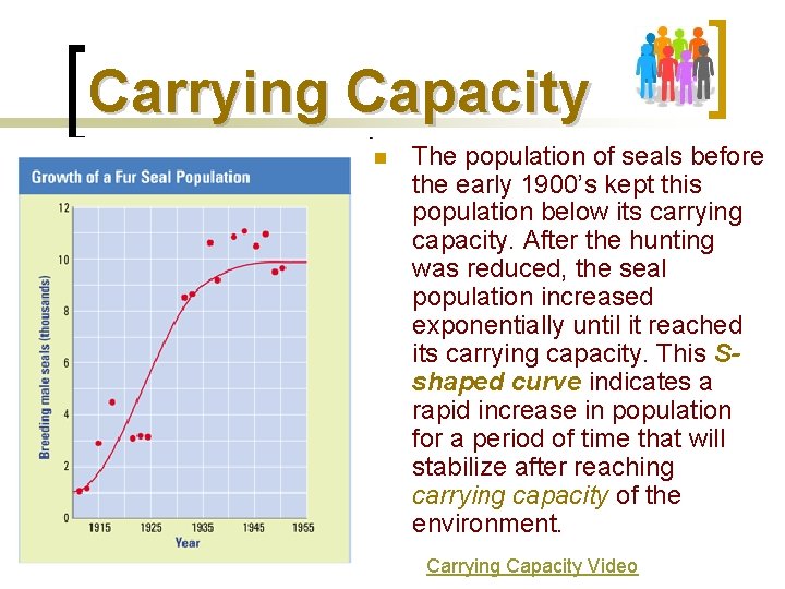 Carrying Capacity n The population of seals before the early 1900’s kept this population