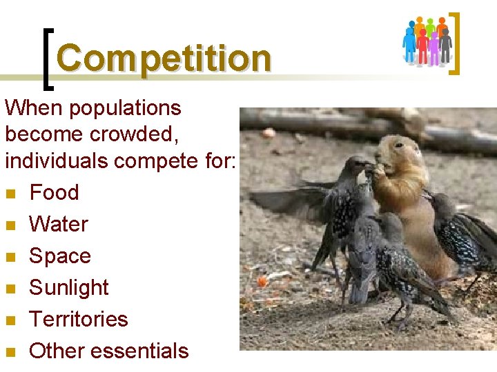 Competition When populations become crowded, individuals compete for: n Food n Water n Space