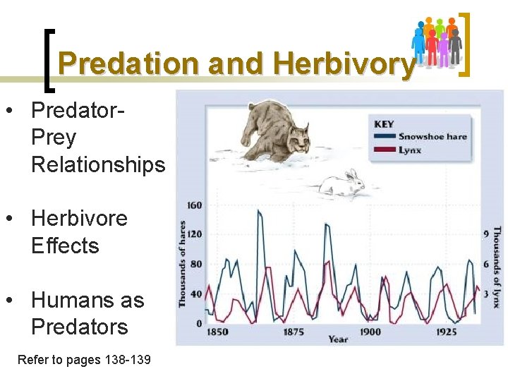 Predation and Herbivory • Predator. Prey Relationships • Herbivore Effects • Humans as Predators