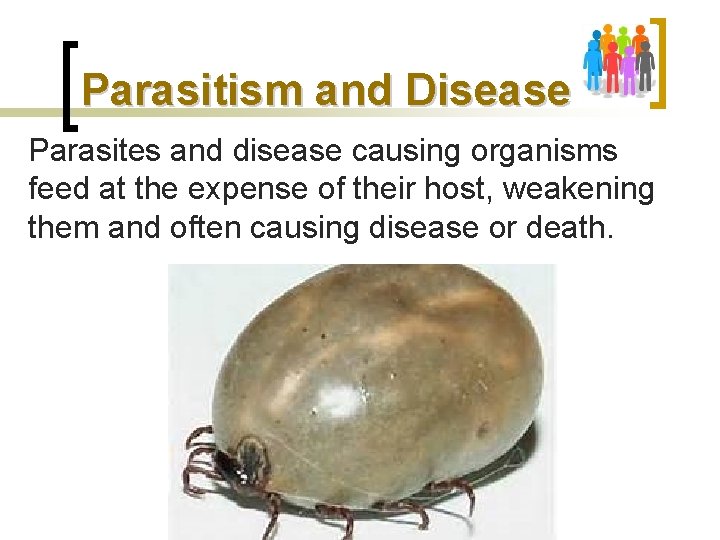 Parasitism and Disease Parasites and disease causing organisms feed at the expense of their