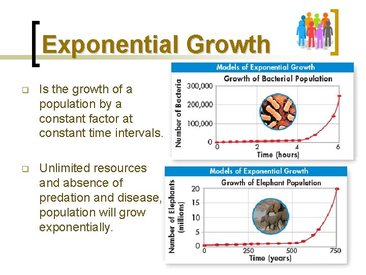 Exponential Growth q Is the growth of a population by a constant factor at