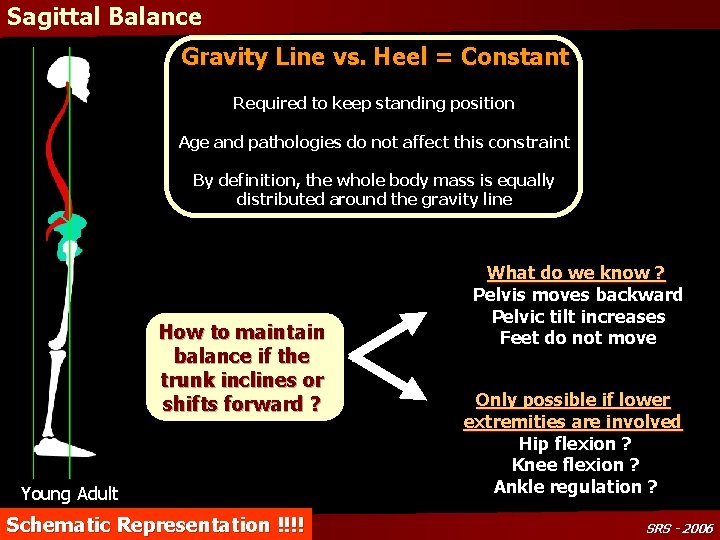 Sagittal Balance Gravity Line vs. Heel = Constant Required to keep standing position Age