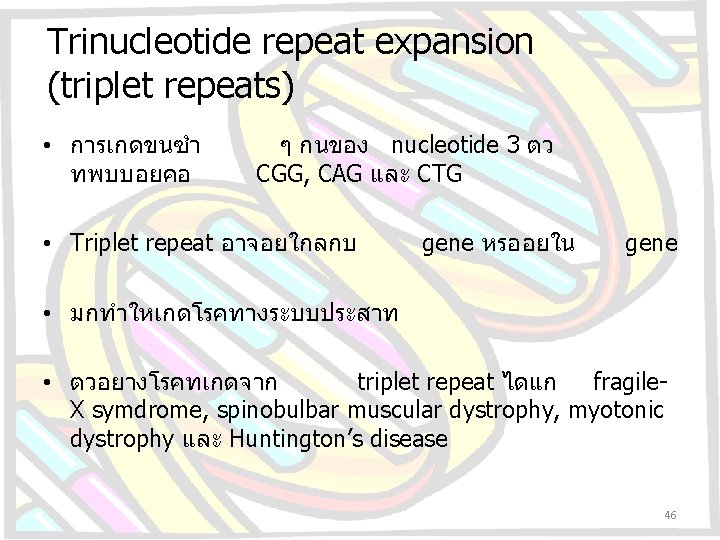 Trinucleotide repeat expansion (triplet repeats) • การเกดขนซำ ทพบบอยคอ ๆ กนของ nucleotide 3 ตว CGG,