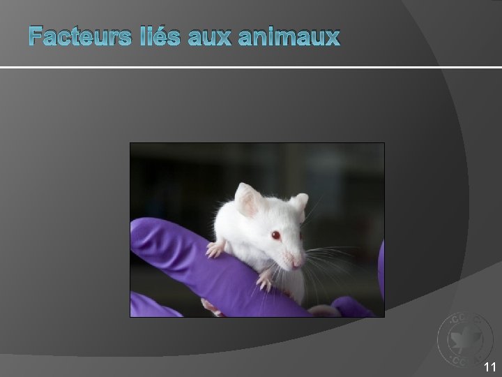 Facteurs liés aux animaux 11 