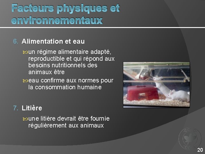 Facteurs physiques et environnementaux 6. Alimentation et eau un régime alimentaire adapté, reproductible et