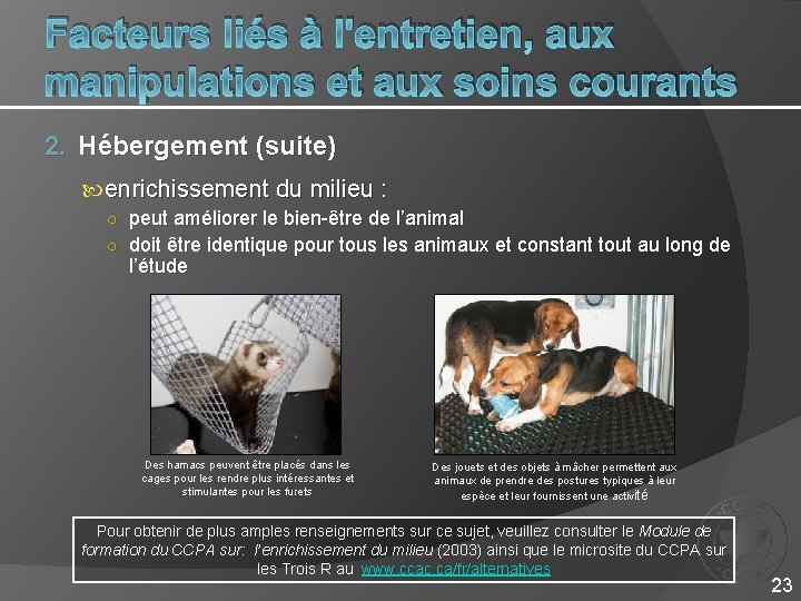 Facteurs liés à l'entretien, aux manipulations et aux soins courants 2. Hébergement (suite) enrichissement