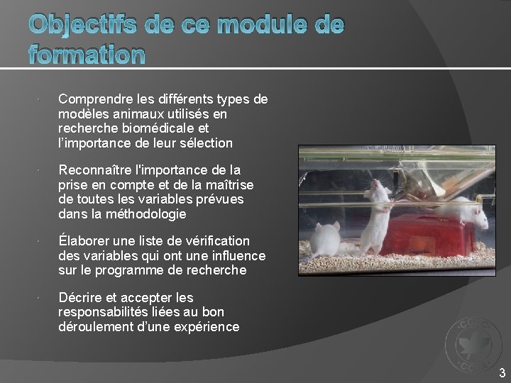 Objectifs de ce module de formation Comprendre les différents types de modèles animaux utilisés