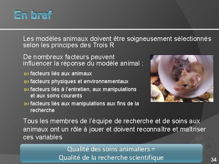 En bref Les modèles animaux doivent être soigneusement sélectionnés selon les principes des Trois