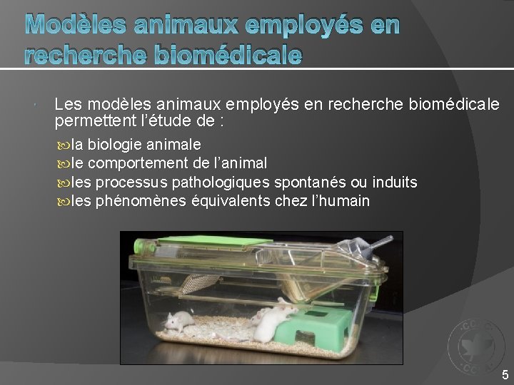 Modèles animaux employés en recherche biomédicale Les modèles animaux employés en recherche biomédicale permettent