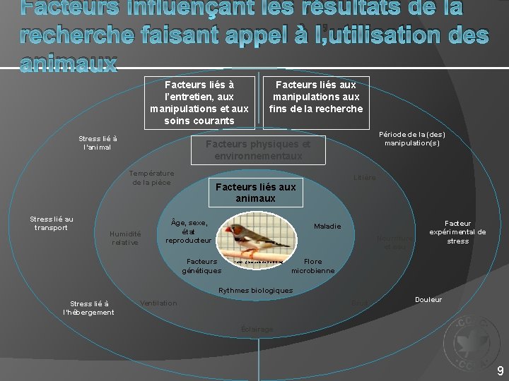 Facteurs influençant les résultats de la recherche faisant appel à l’utilisation des animaux Facteurs