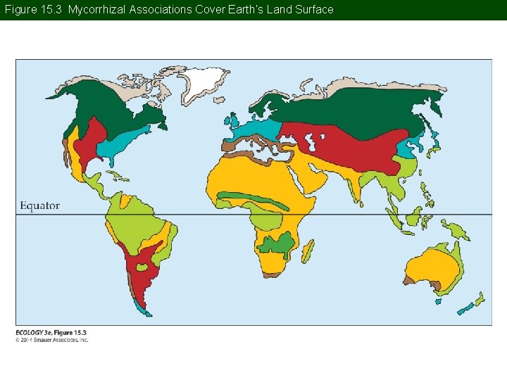 Figure 15. 3 Mycorrhizal Associations Cover Earth’s Land Surface Figure 15. 3 Mycorrhizal Associations Cover Earth’s Land Surface