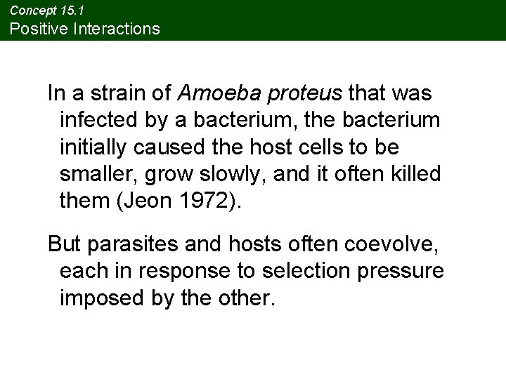 Concept 15. 1 Positive Interactions In a strain of Amoeba proteus that was infected Concept 15. 1 Positive Interactions In a strain of Amoeba proteus that was infected