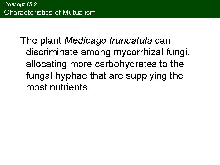 Concept 15. 2 Characteristics of Mutualism The plant Medicago truncatula can discriminate among mycorrhizal Concept 15. 2 Characteristics of Mutualism The plant Medicago truncatula can discriminate among mycorrhizal
