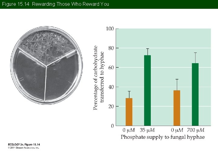 Figure 15. 14 Rewarding Those Who Reward You Figure 15. 14 Rewarding Those Who Reward You