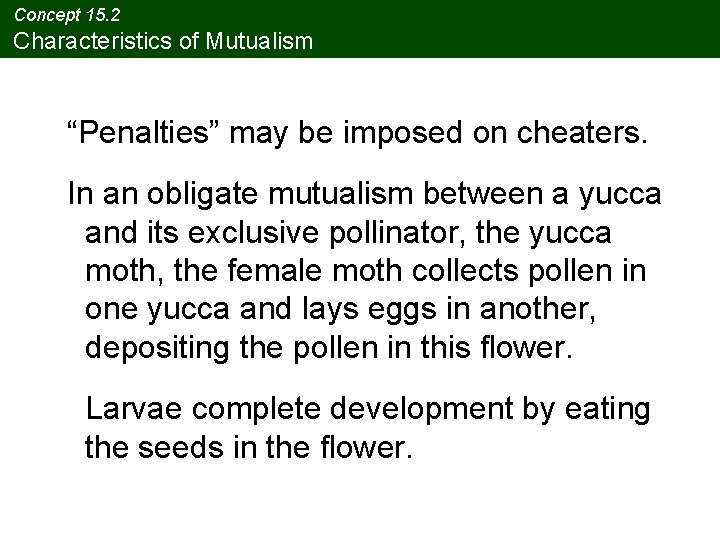 Concept 15. 2 Characteristics of Mutualism “Penalties” may be imposed on cheaters. In an Concept 15. 2 Characteristics of Mutualism “Penalties” may be imposed on cheaters. In an