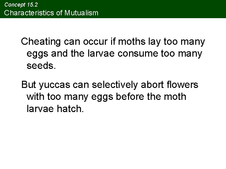 Concept 15. 2 Characteristics of Mutualism Cheating can occur if moths lay too many Concept 15. 2 Characteristics of Mutualism Cheating can occur if moths lay too many