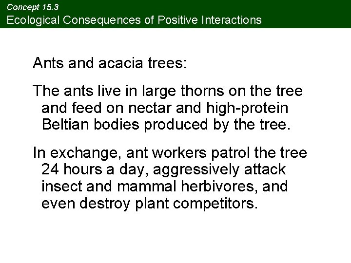 Concept 15. 3 Ecological Consequences of Positive Interactions Ants and acacia trees: The ants Concept 15. 3 Ecological Consequences of Positive Interactions Ants and acacia trees: The ants