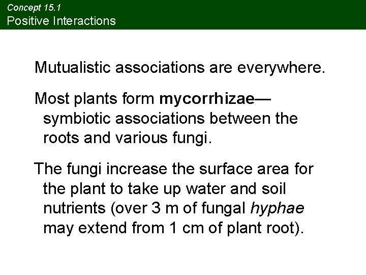 Concept 15. 1 Positive Interactions Mutualistic associations are everywhere. Most plants form mycorrhizae— symbiotic Concept 15. 1 Positive Interactions Mutualistic associations are everywhere. Most plants form mycorrhizae— symbiotic
