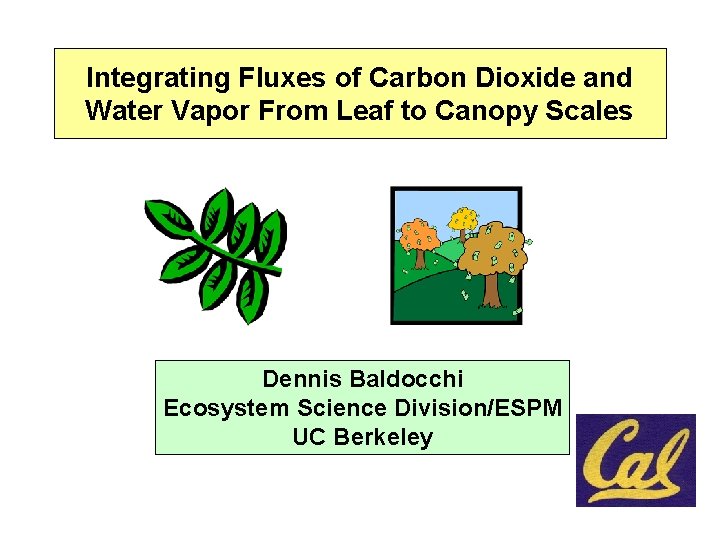 Integrating Fluxes of Carbon Dioxide and Water Vapor From Leaf to Canopy Scales Dennis