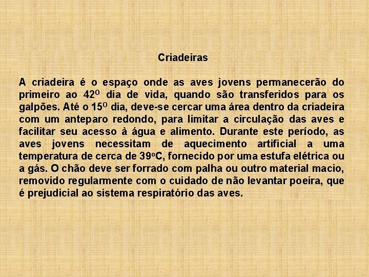 Criadeiras A criadeira é o espaço onde as aves jovens permanecerão do primeiro ao