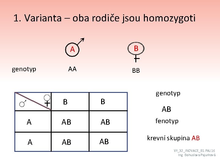 1. Varianta – oba rodiče jsou homozygoti genotyp A A A B AA BB