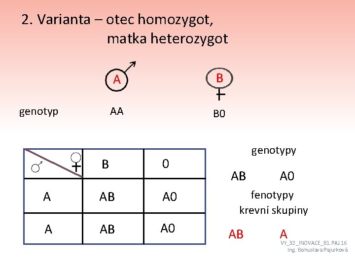 2. Varianta – otec homozygot, matka heterozygot genotyp A B AA B 0 A