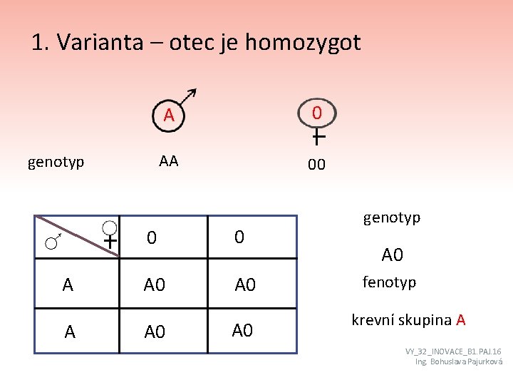 1. Varianta – otec je homozygot genotyp A A A 0 AA 00 0