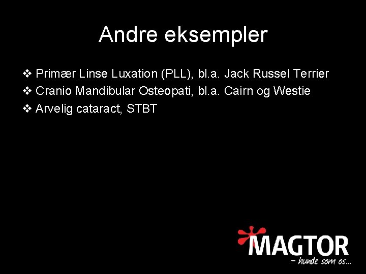 Andre eksempler v Primær Linse Luxation (PLL), bl. a. Jack Russel Terrier v Cranio