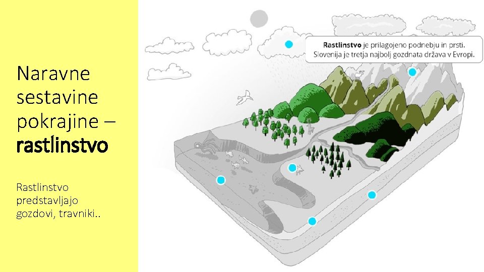 Naravne sestavine pokrajine – rastlinstvo Rastlinstvo predstavljajo gozdovi, travniki. . 