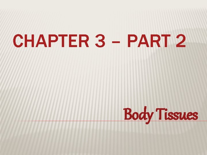 CHAPTER 3 – PART 2 Body Tissues 