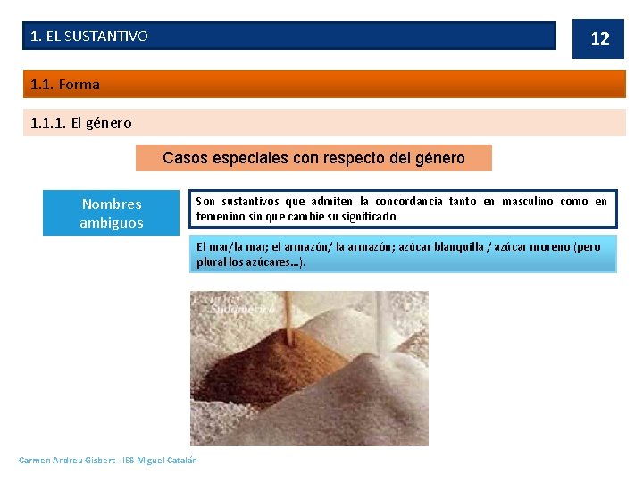 1. EL SUSTANTIVO 12 1. 1. Forma 1. 1. 1. El género Casos especiales