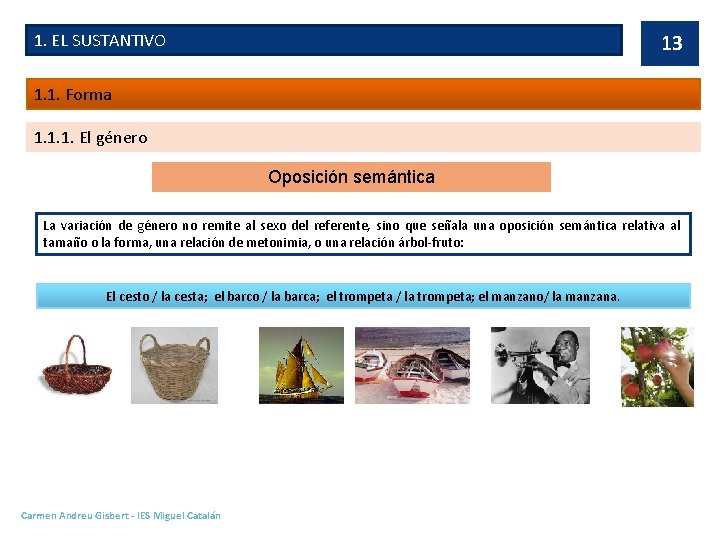 1. EL SUSTANTIVO 13 1. 1. Forma 1. 1. 1. El género Oposición semántica