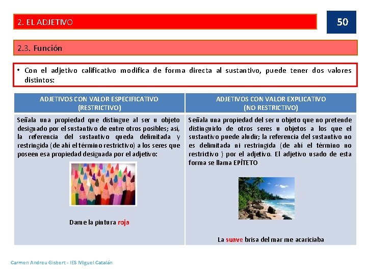 50 2. EL ADJETIVO 2. 3. Función • Con el adjetivo calificativo modifica de