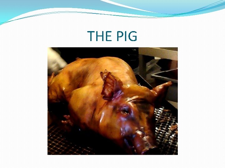 THE PIG THE PIG