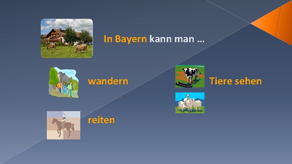 In Bayern kann man … wandern reiten Tiere sehen 
